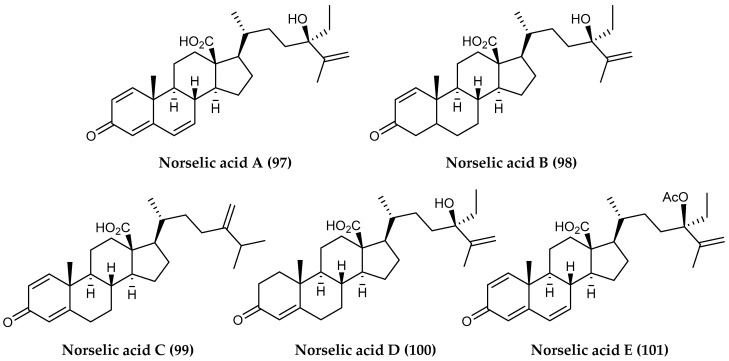 Figure 21