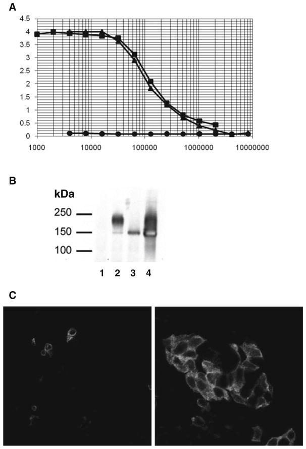 Fig. 20.2