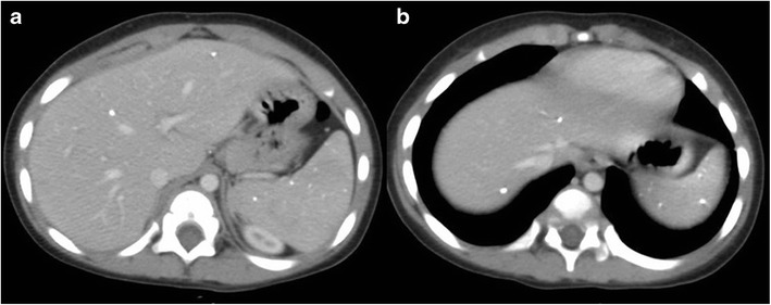 Fig. 6