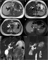 Fig. 21