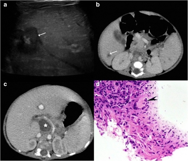 Fig. 9