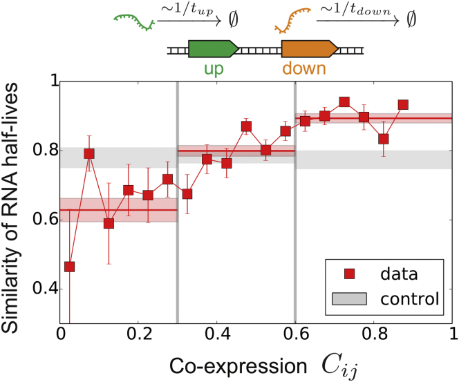 Figure 6