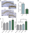 Fig. 8.