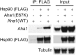 Fig. S1.