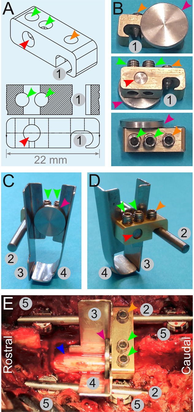 Figure 7