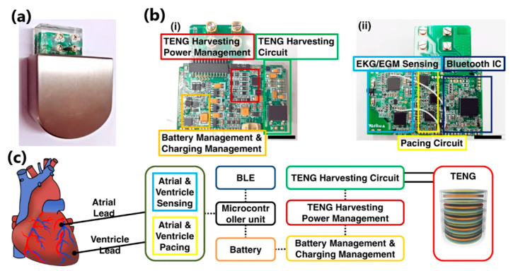 Figure 34