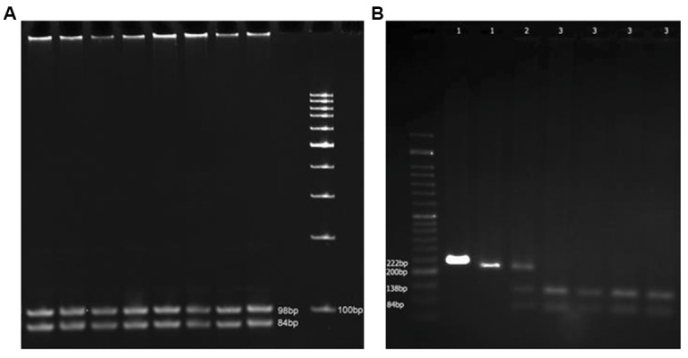 Fig.1