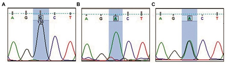 Fig.2