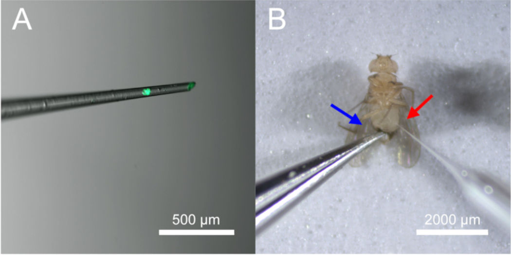 Figure 4: