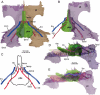 Fig. 8