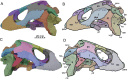 Fig. 4
