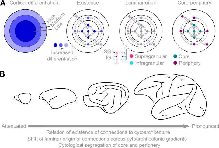 Fig 10