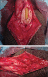 Figure 3. a, b.