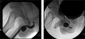 Figure 1. a, b.