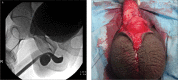 Figure 2. a, b.