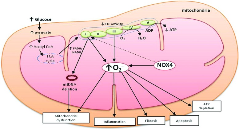 FIG. 8.