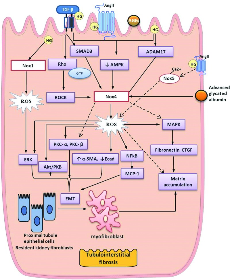 FIG. 6.