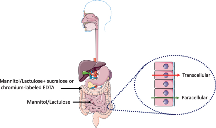 Fig.1