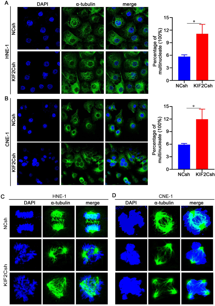 Figure 6