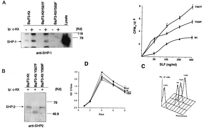 FIG. 7