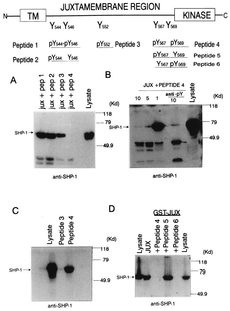 FIG. 5