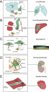 Figure 11.