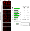 Figure 2—figure supplement 2.