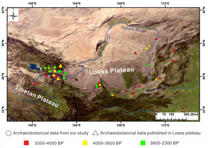 FIGURE 1