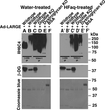 Fig. 7.