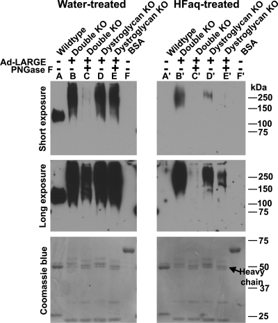 Fig. 5.