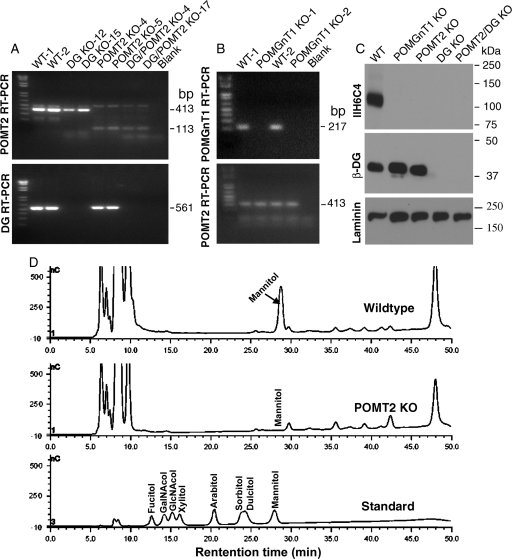 Fig. 1.