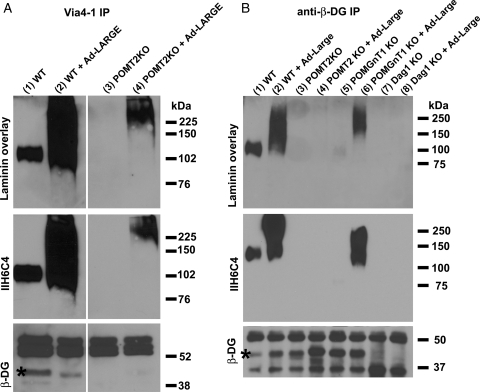 Fig. 3.