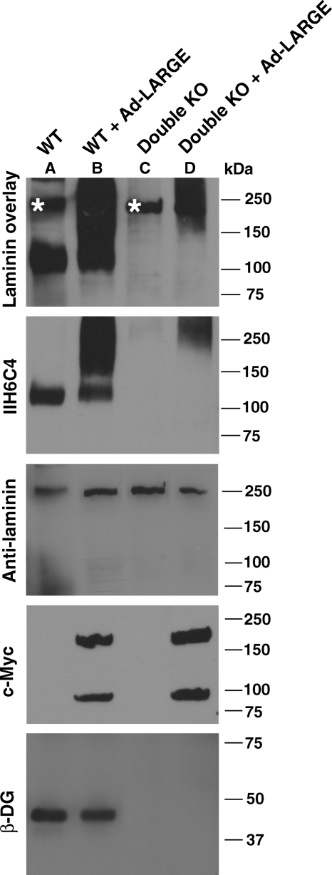 Fig. 4.