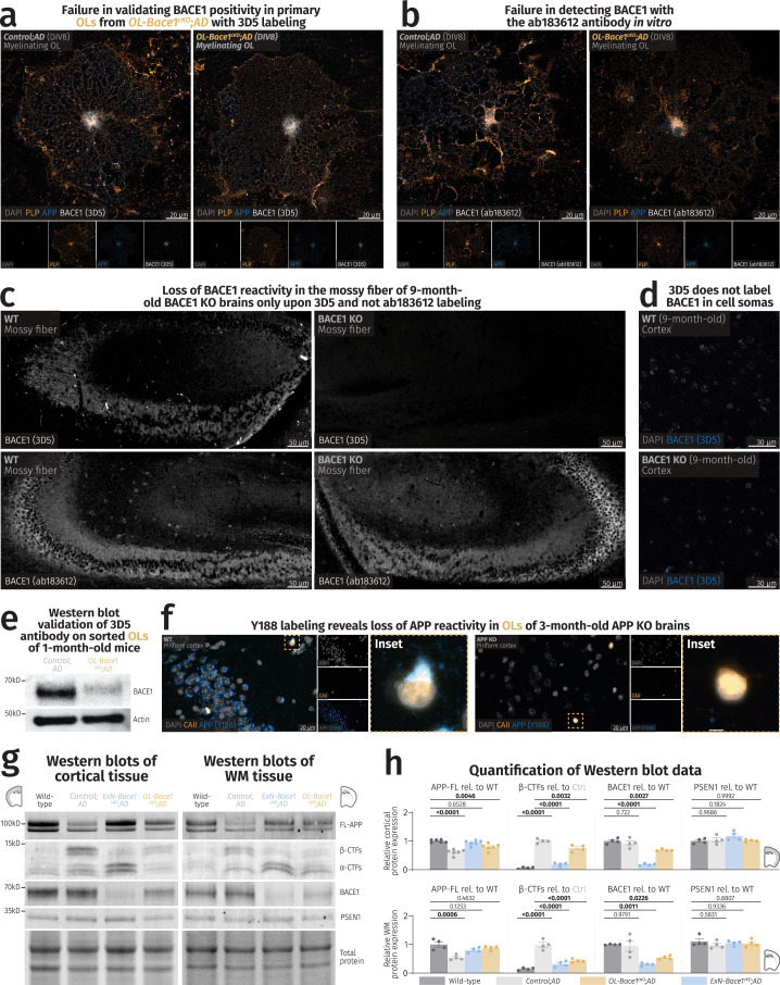 Extended Data Fig. 5