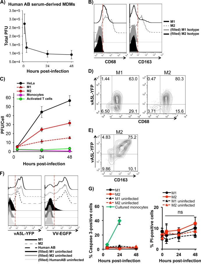 FIG 1