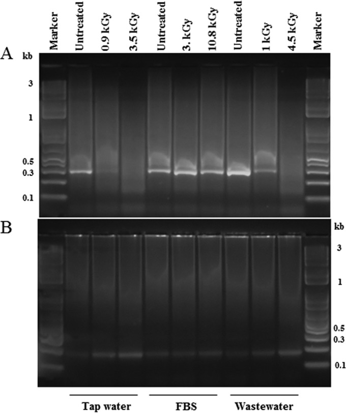 FIG 3