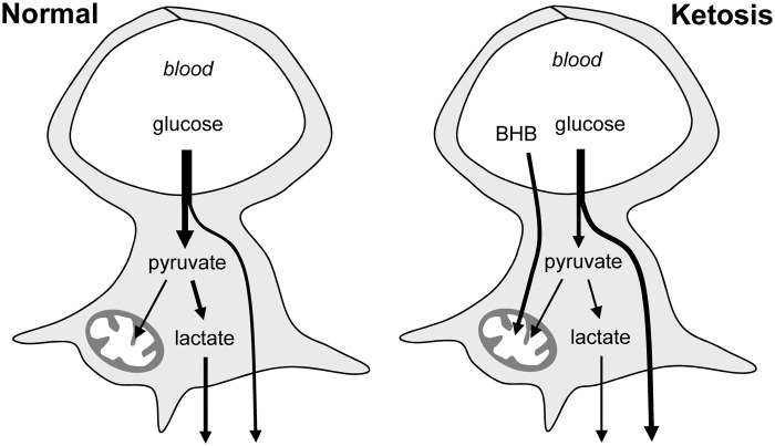 Figure 7.