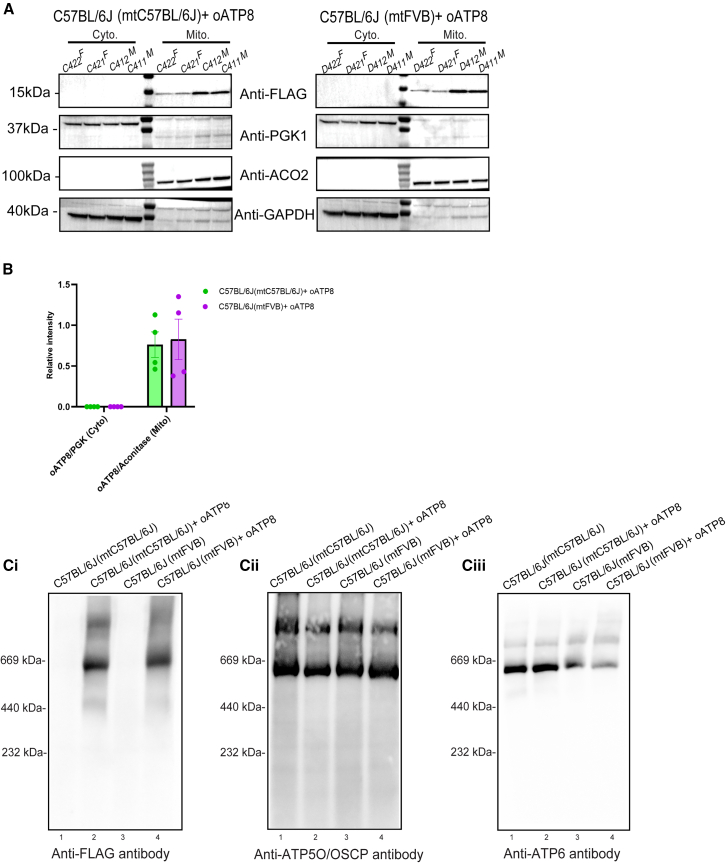 Figure 4