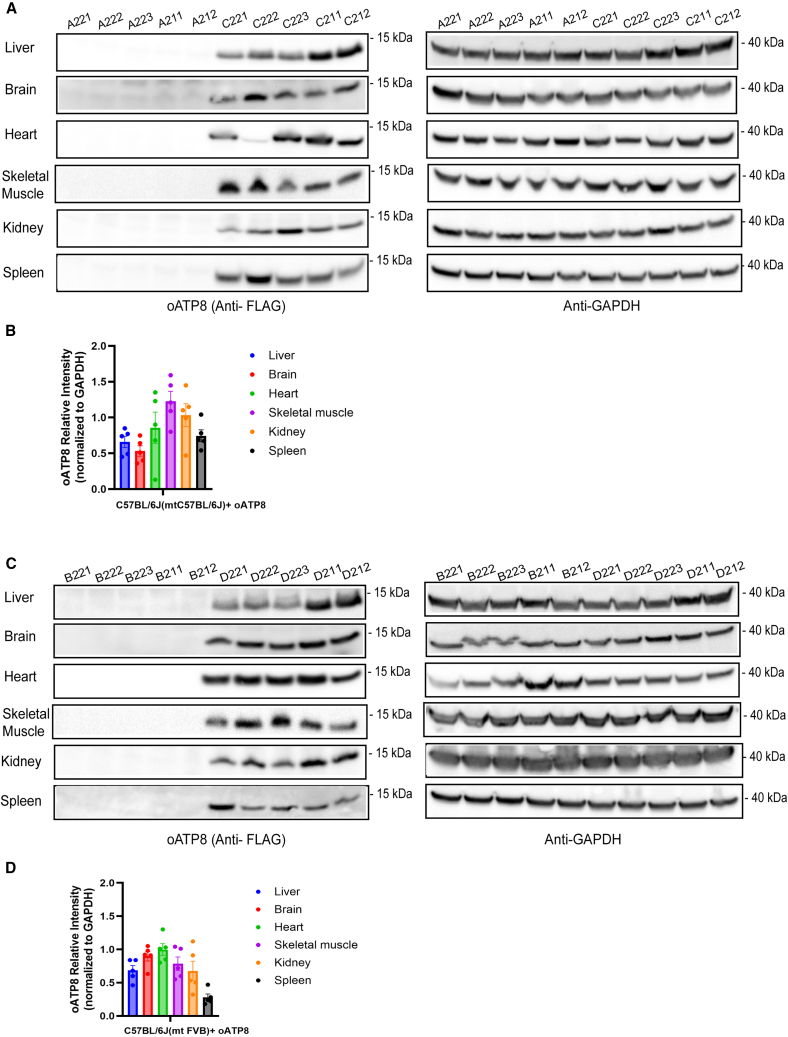 Figure 3