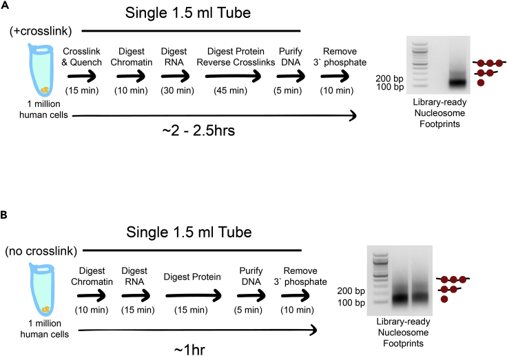 Figure 6