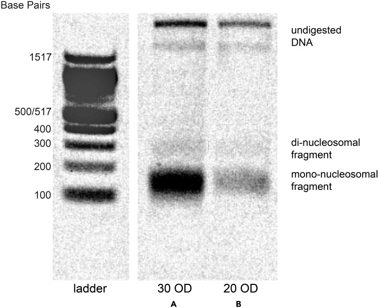 Figure 7