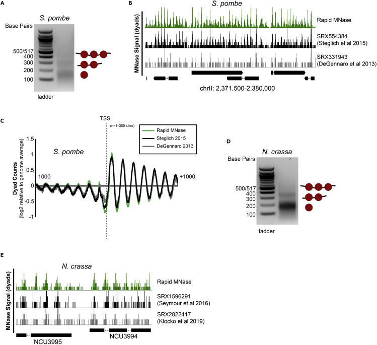 Figure 4