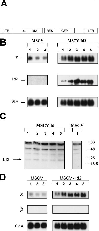 FIG. 5