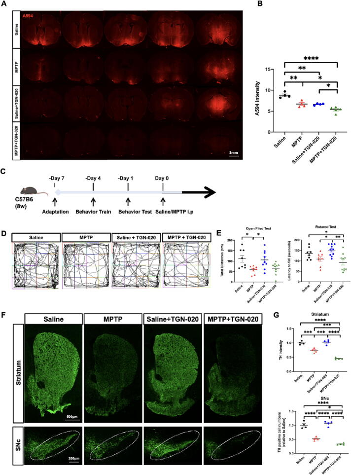 Fig. 3