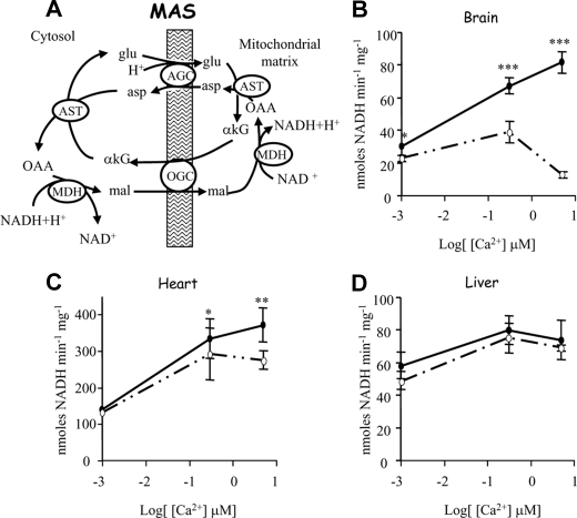 FIGURE 1.