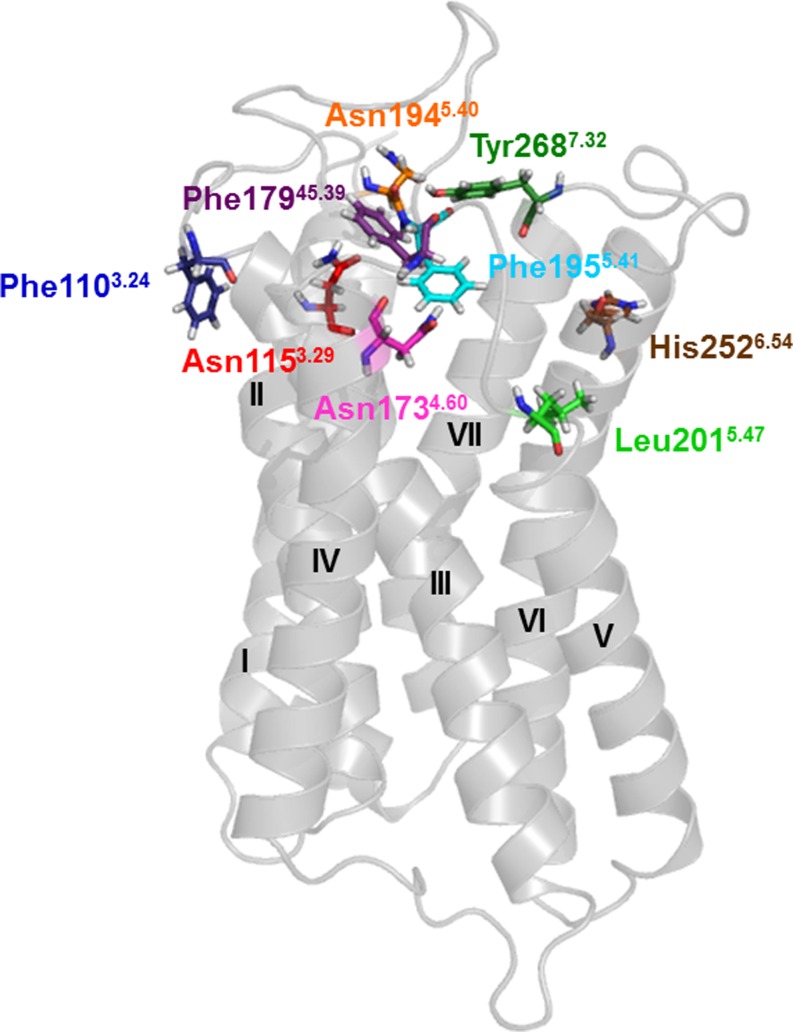 Fig. 2