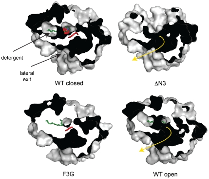 Fig. 4.