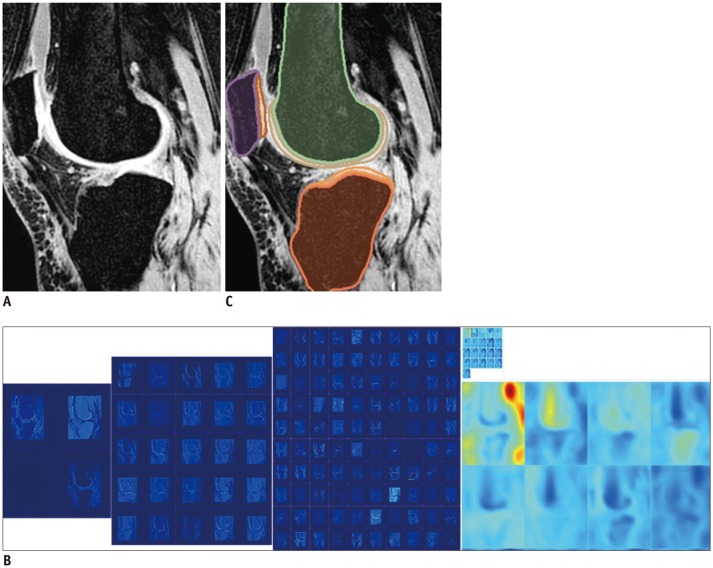 Fig. 7