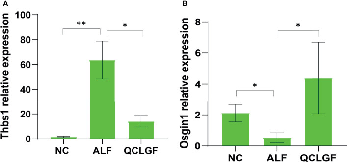 Figure 5