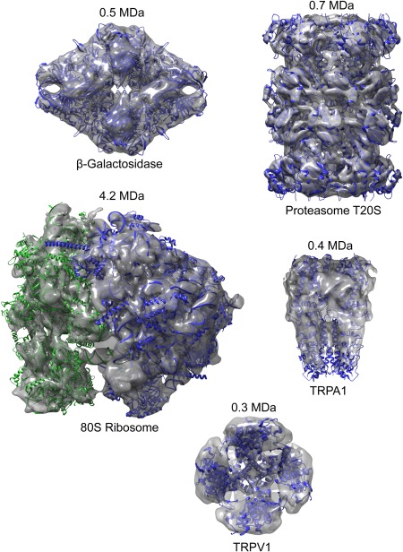 Figure 5